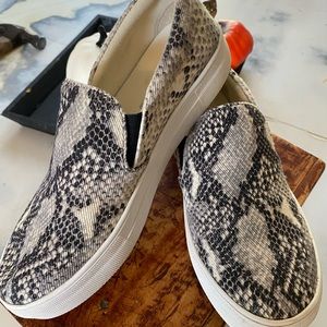 Steve Madden Snake Print Sneaker Size 8.5